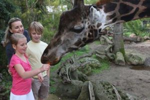 Melbourne-Zoo